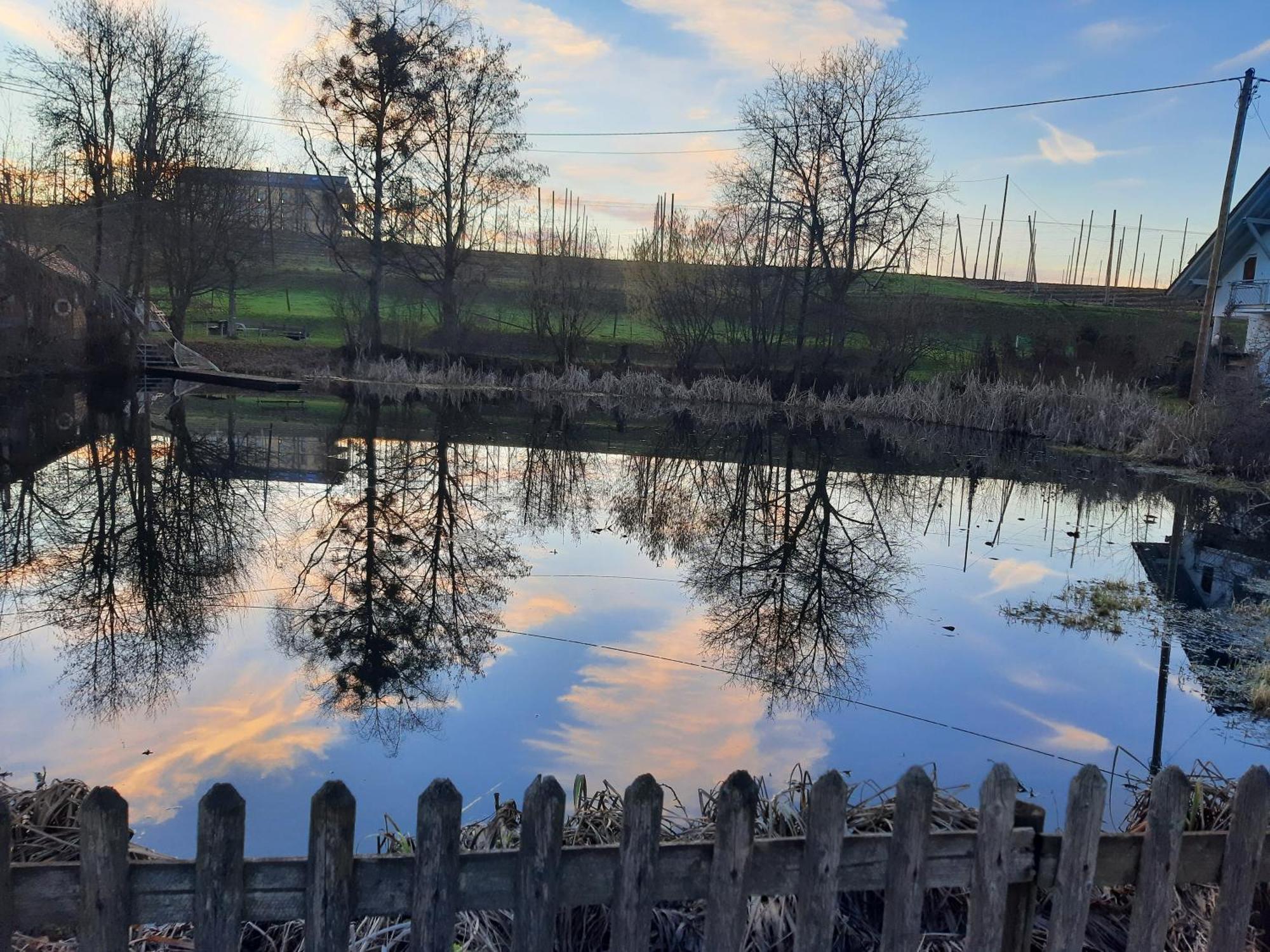 Am Dorfweiher Tettnang Eksteriør billede